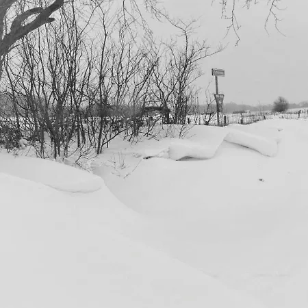 Havenzicht Texel Hotel