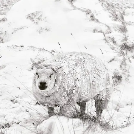 Hotel Havenzicht Texel