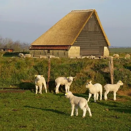 Havenzicht Texel Szálloda Oudeschild