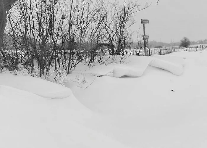 Havenzicht Texel Отель