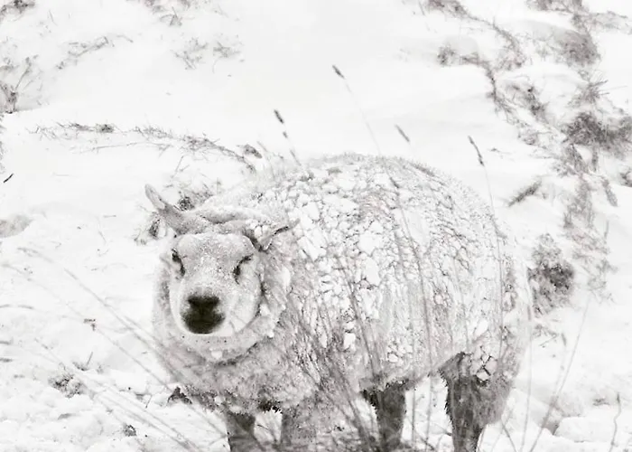 Отель Havenzicht Texel