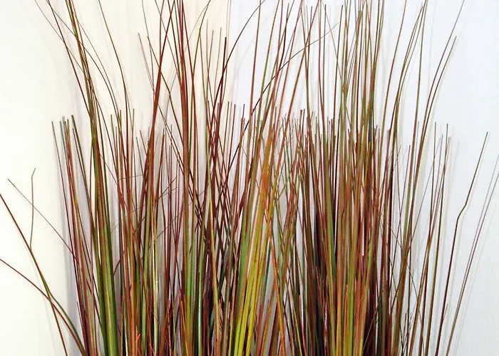 Отель Havenzicht Texel