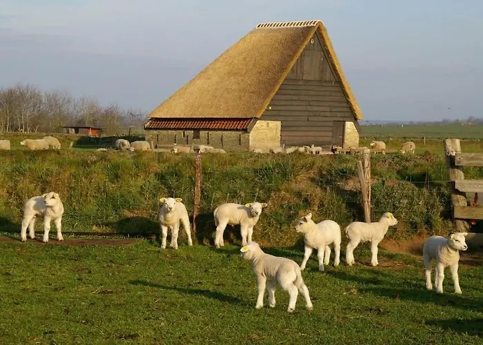 Havenzicht Texel Szálloda Oudeschild