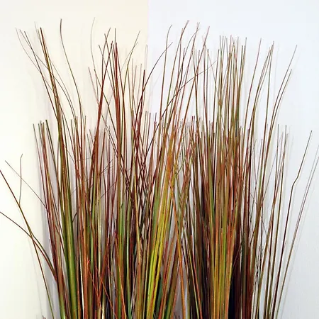 فندق Havenzicht Texel